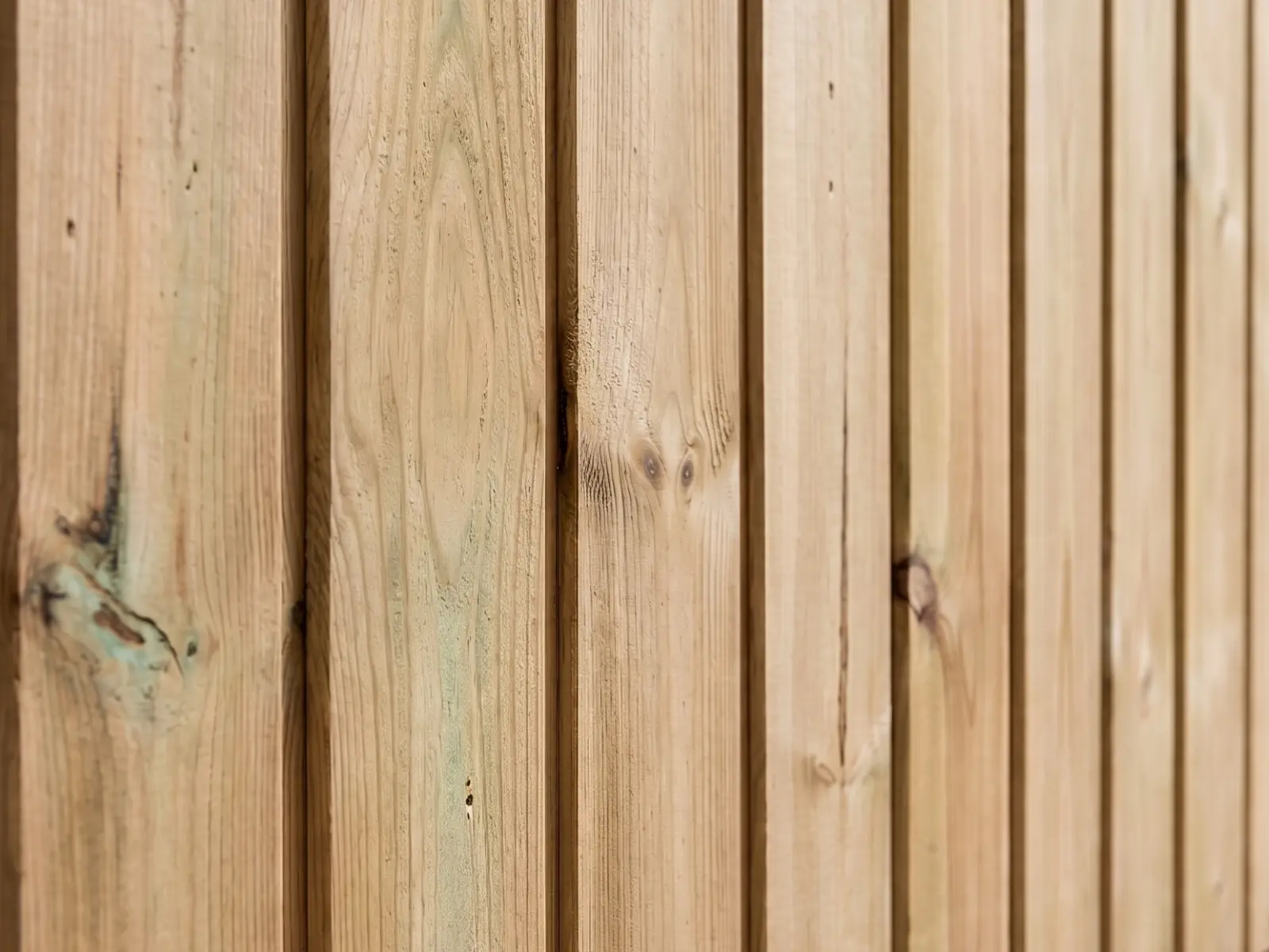 Pressure-treated secret-nail tongue and groove cladding. 16mm thickness.